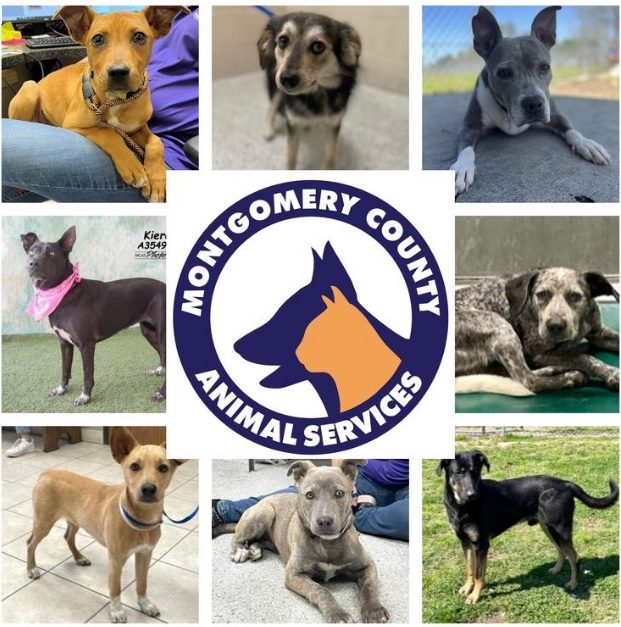 montgomery county spca