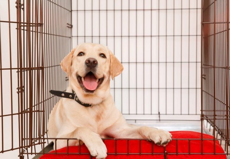 montgomery county spca