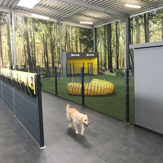 Northwest SPCA