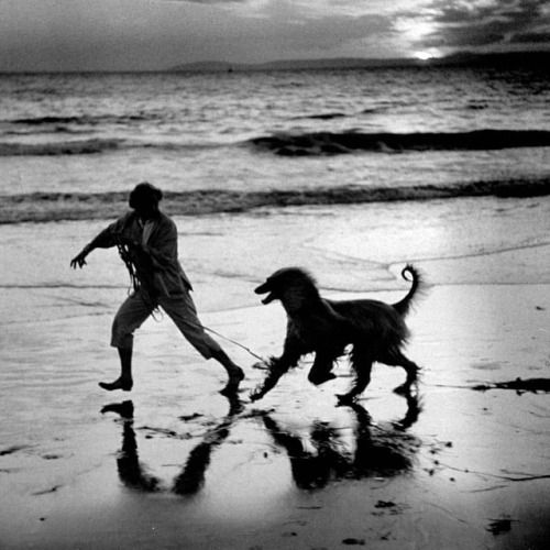 OBX SPCA
