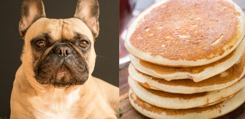 Can Dogs Eat Pancakes