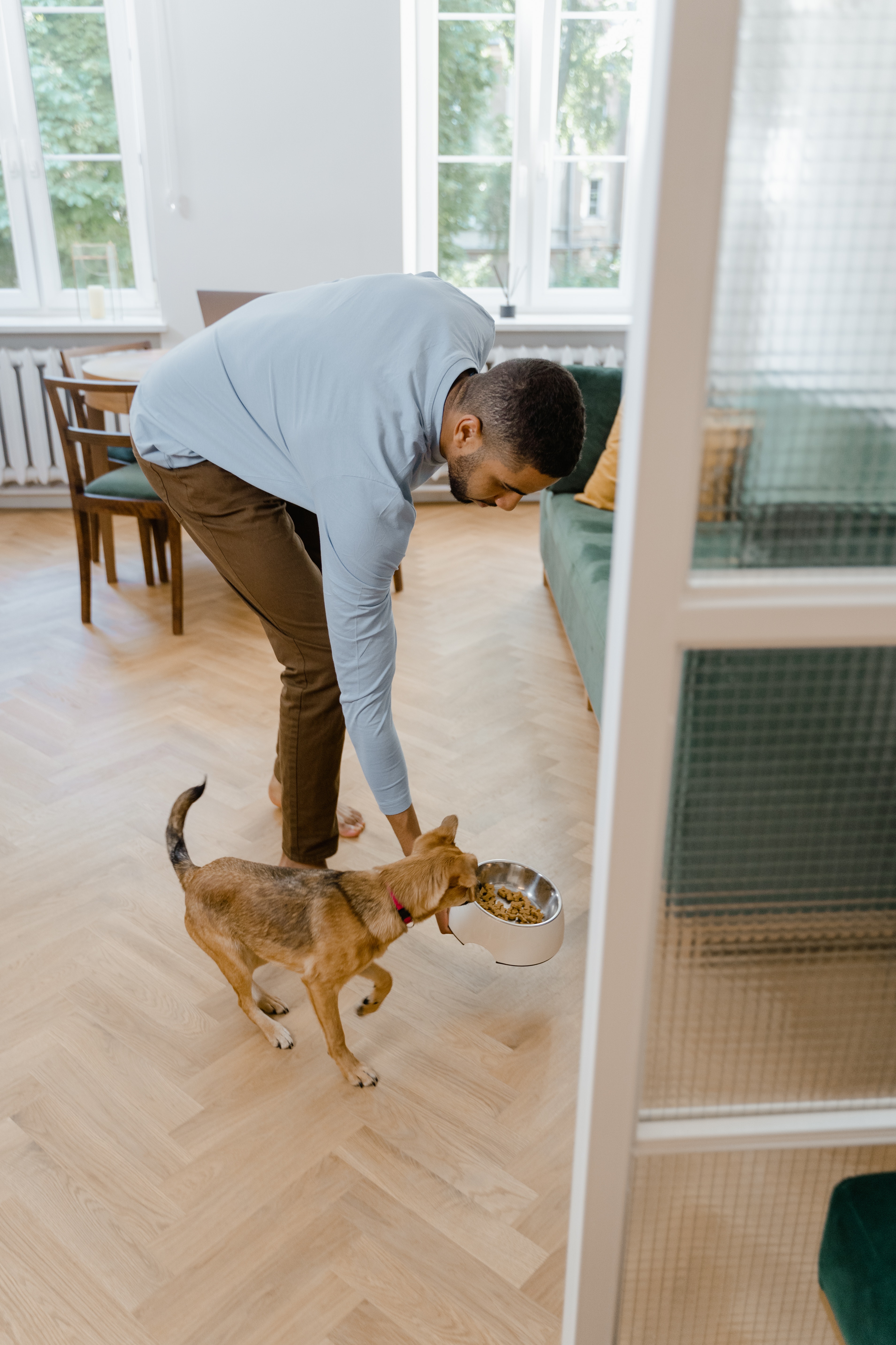 feeding your new puppy