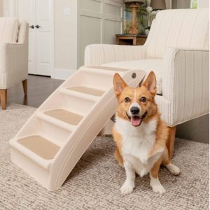 dog stairs