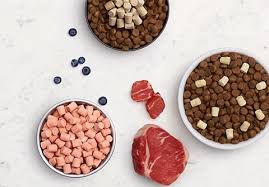 Instinct Dog Food
