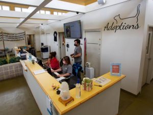 Rockingham SPCA
