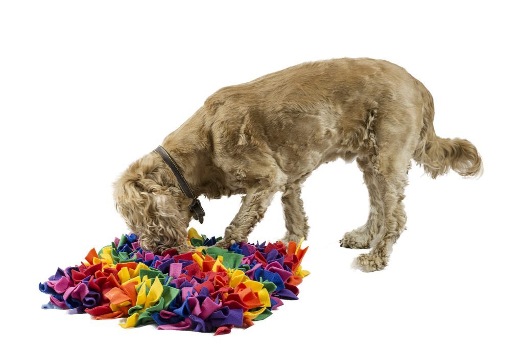 Snuffle Mat