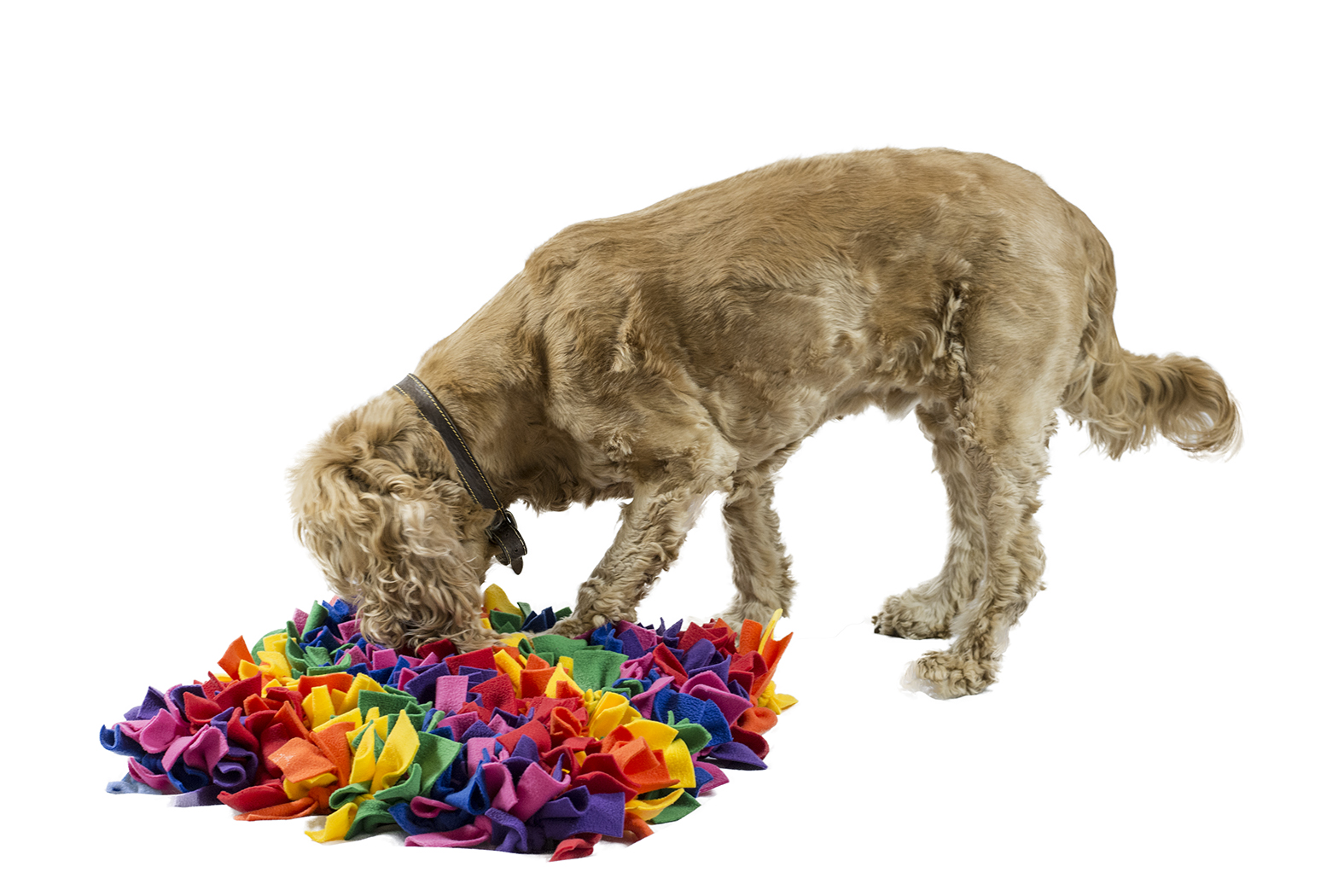 Snuffle Mat