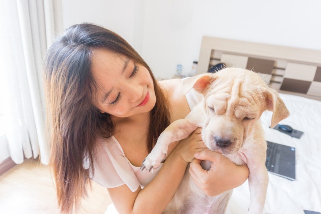 Sacramento SPCA woman in white tank top hugging brown and white short coated dog
