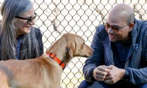 spca dallas