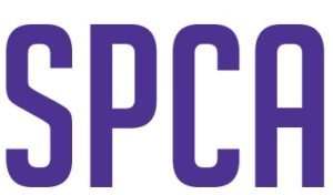 spca dallas