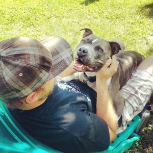 spca florida