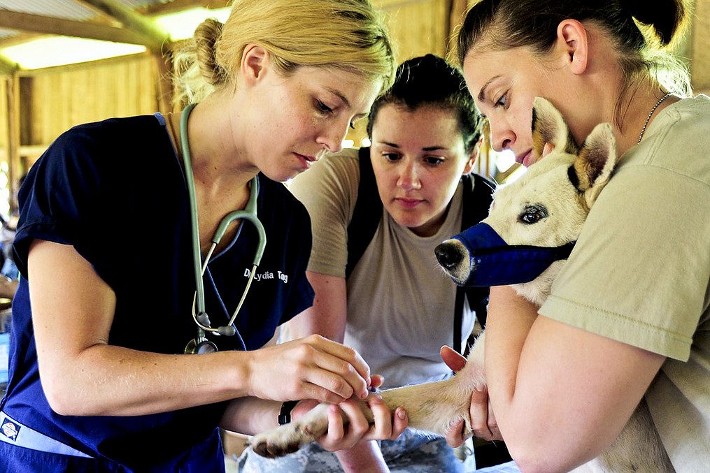 SPCA of Tompkins County Dog care