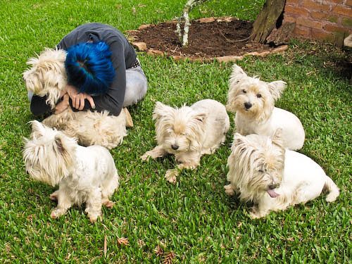 SPCA of Wake County