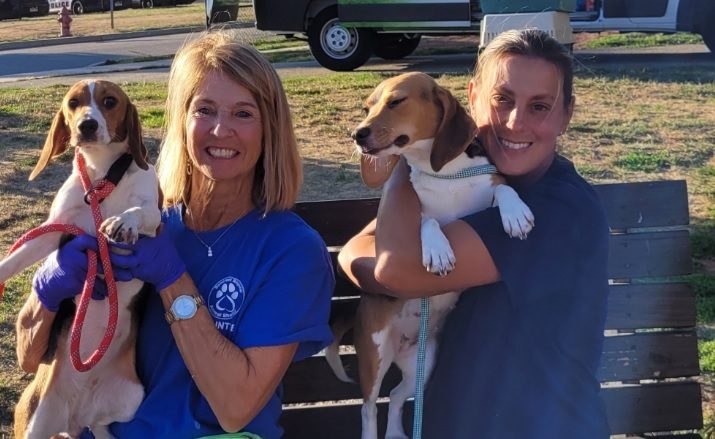 spca roseville