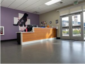 SPCA San Mateo