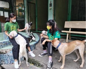 SPCA Santa Cruz