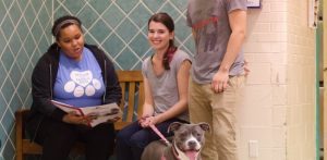 spca watertown ny