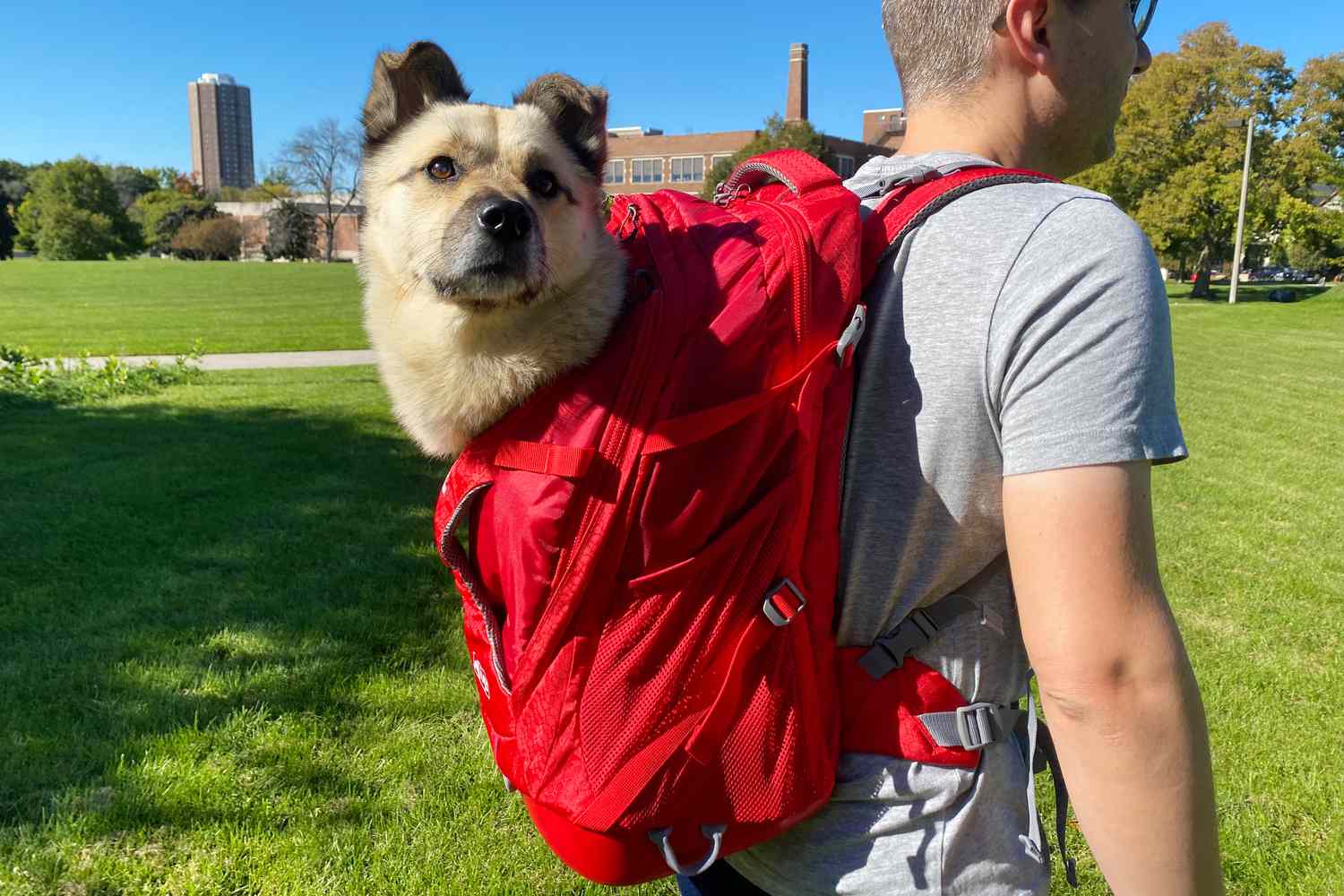Dog Carrier Backpack