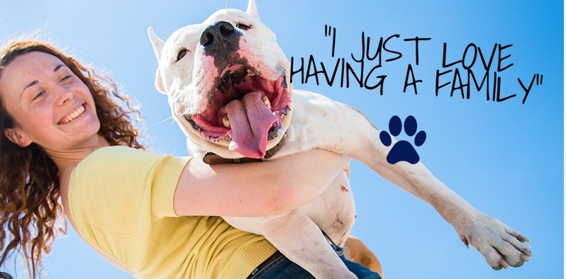 Fauquier SPCA