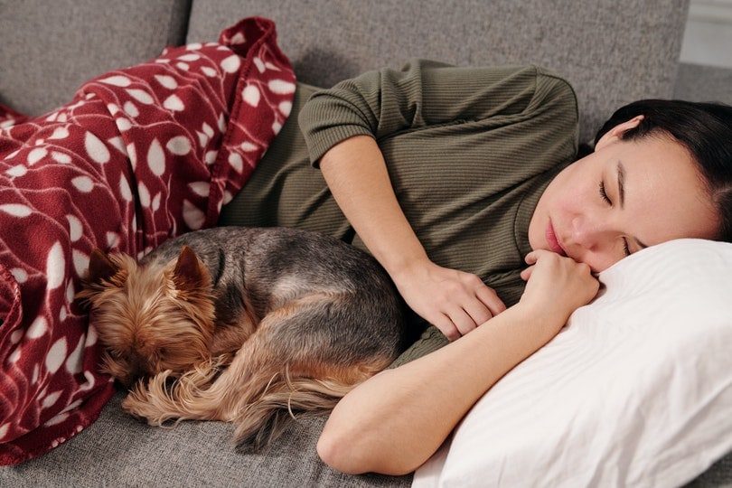 Dogs Sleep with Their Bums Facing You