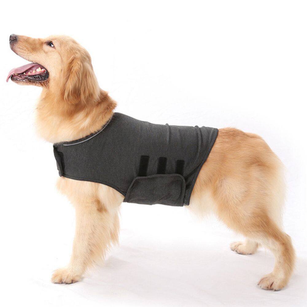 Thunder Shirts Dogs