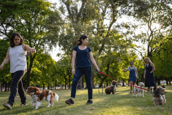 1000 Acre Dog Park 