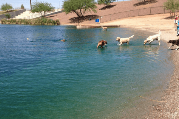 1000 Acre Dog Park 