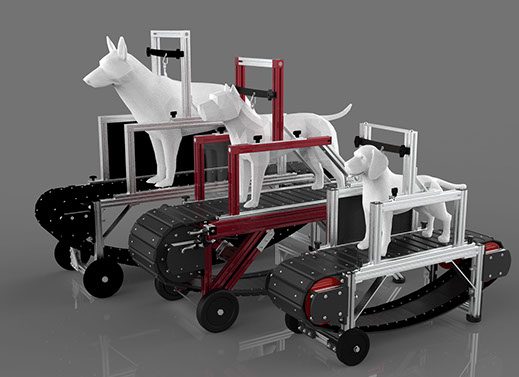 Dog Trotter USA