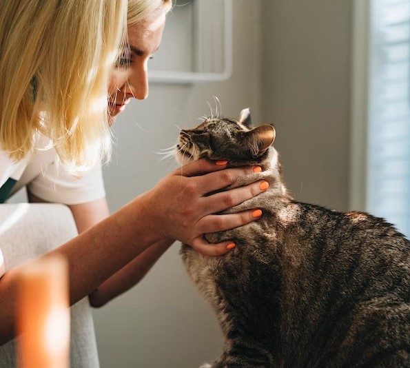 Richton-Park-Animal-Hospital