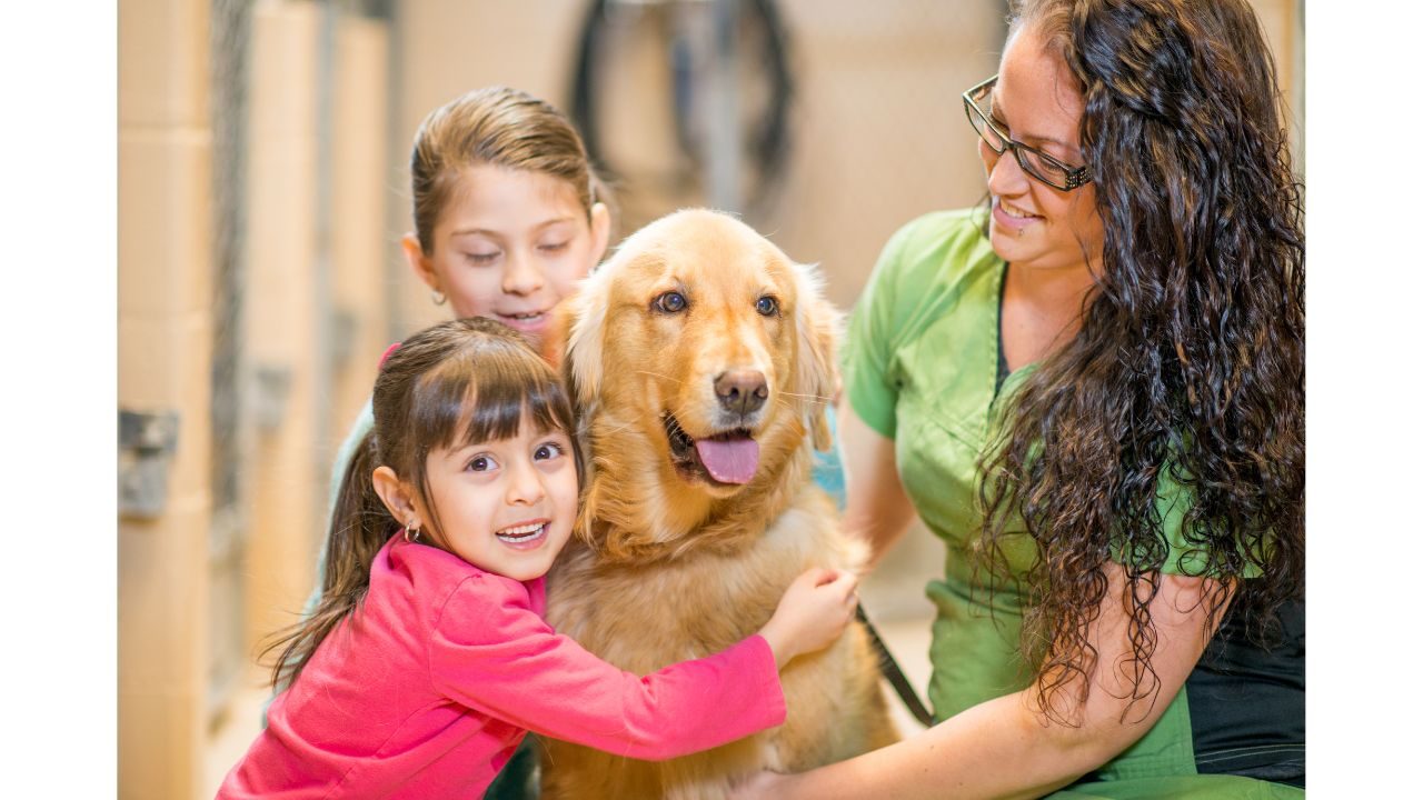 9 Questions To Ask When Adopting a Dog
