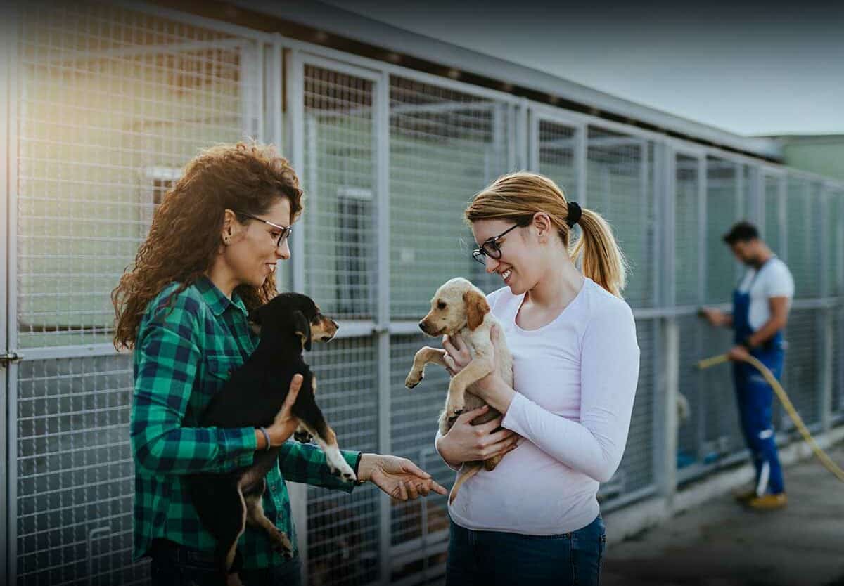 LA Animal Services