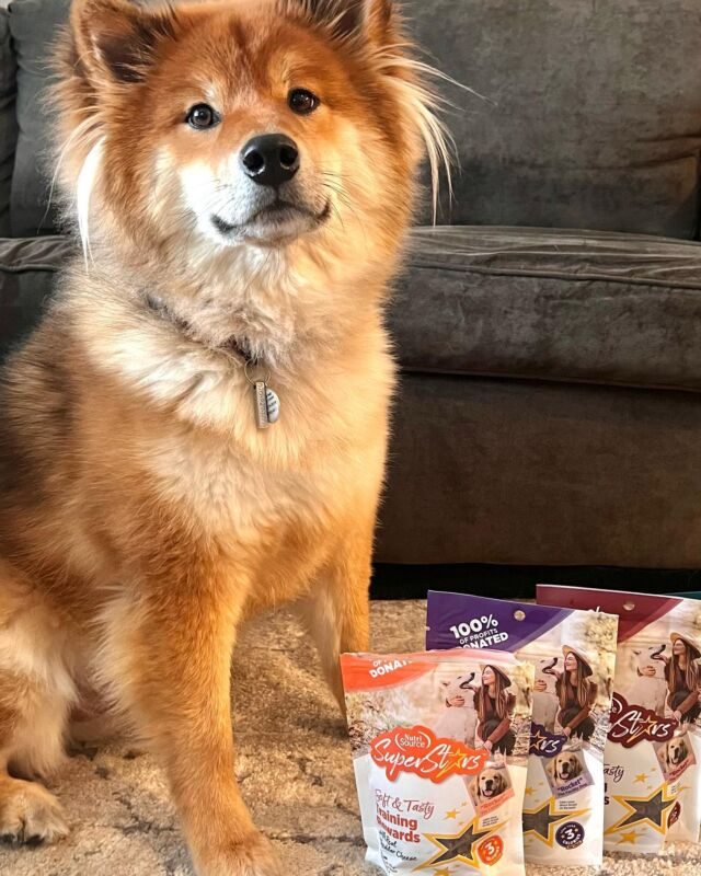 Nutrisource Dog Food