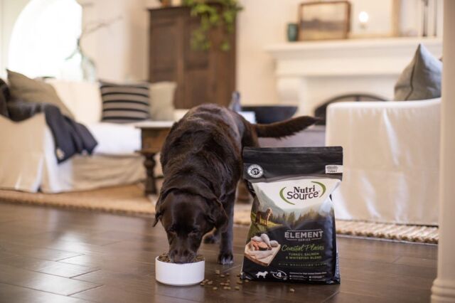 Nutrisource Dog Food