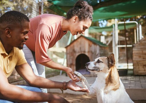 Humane Society Miami