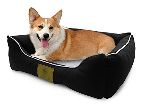 Heated Dog Bed
