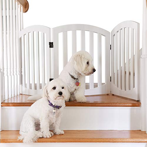 Dog Gates