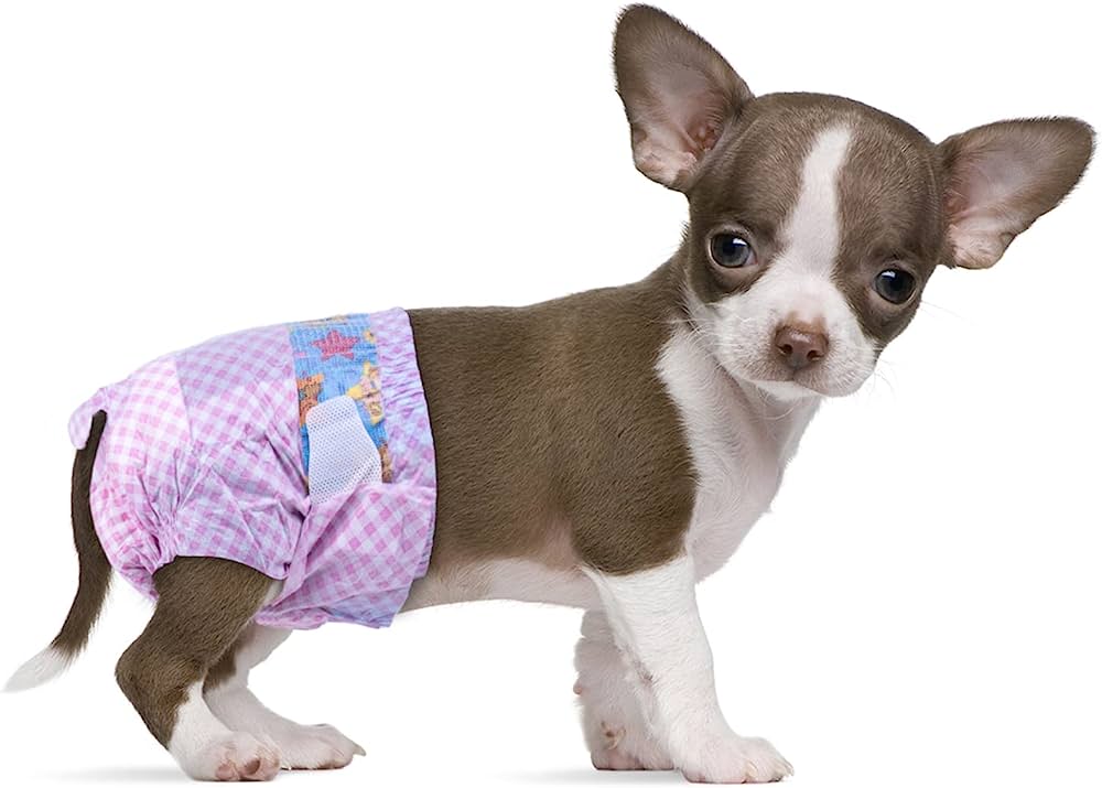 dog diapers