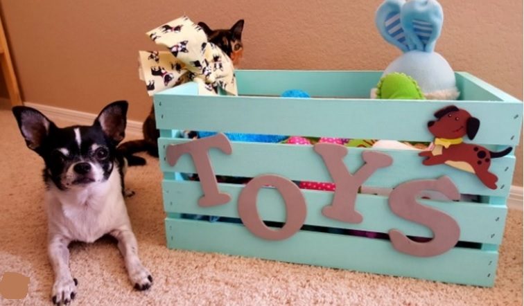 dog toy box
