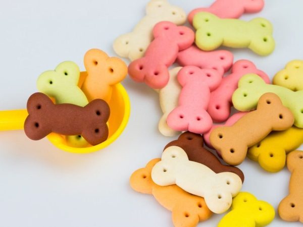 dog treat molds