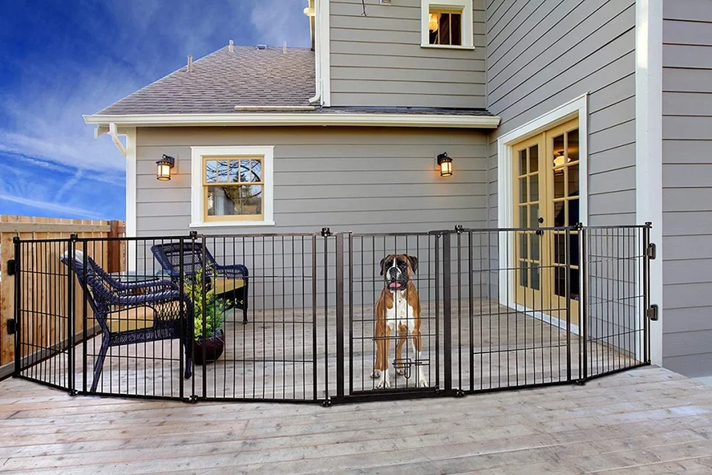 Dog Gates