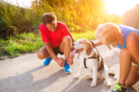 Dog Needs Exercise Buddies