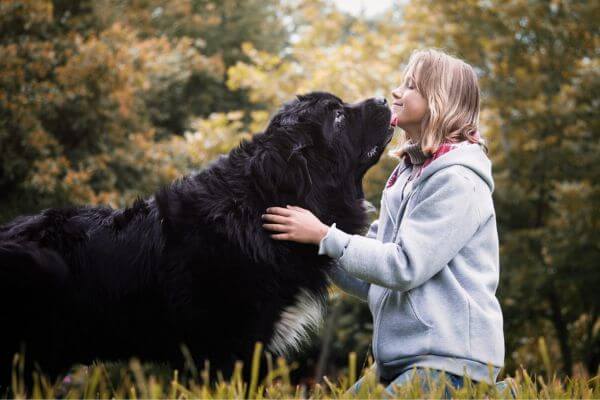 Owning A Big Dog