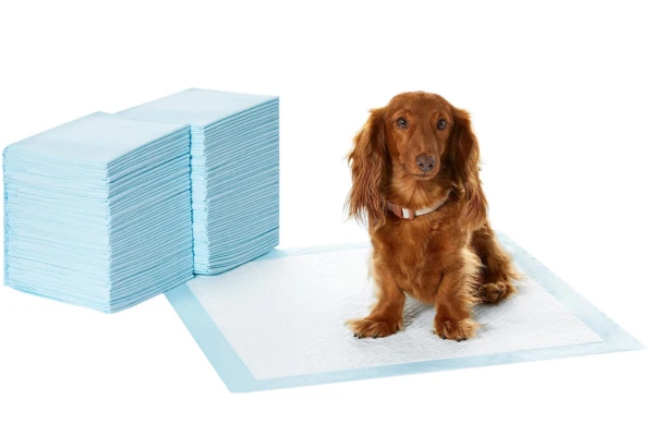 Amazon Basics Dog and Puppy Pee Pads