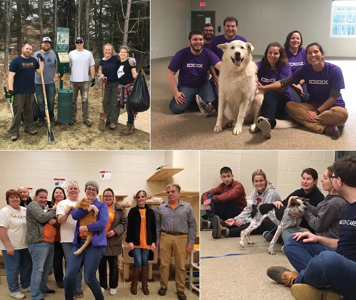 Animal Refuge League of Greater Portland 