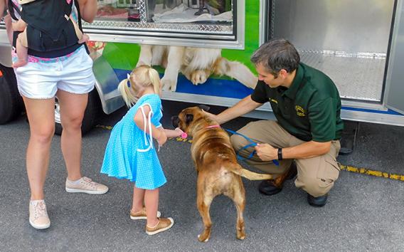 Animal Shelter Kent County