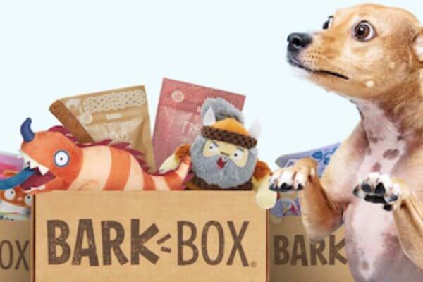 Barkbox Super Chewer