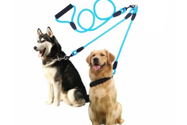 Barkshop