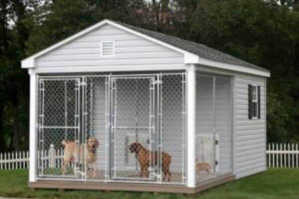 large dog kennel