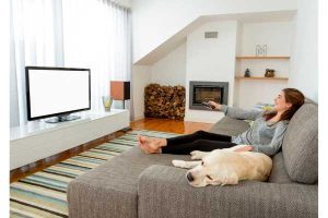 Best Dog Movies
