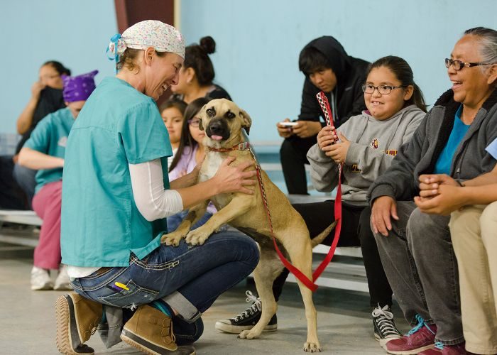 LA Animal Services
